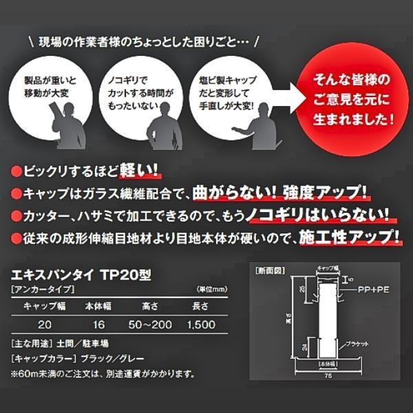 タイセイ エキスパンタイTP20 H60 ブラック アンカータイプ