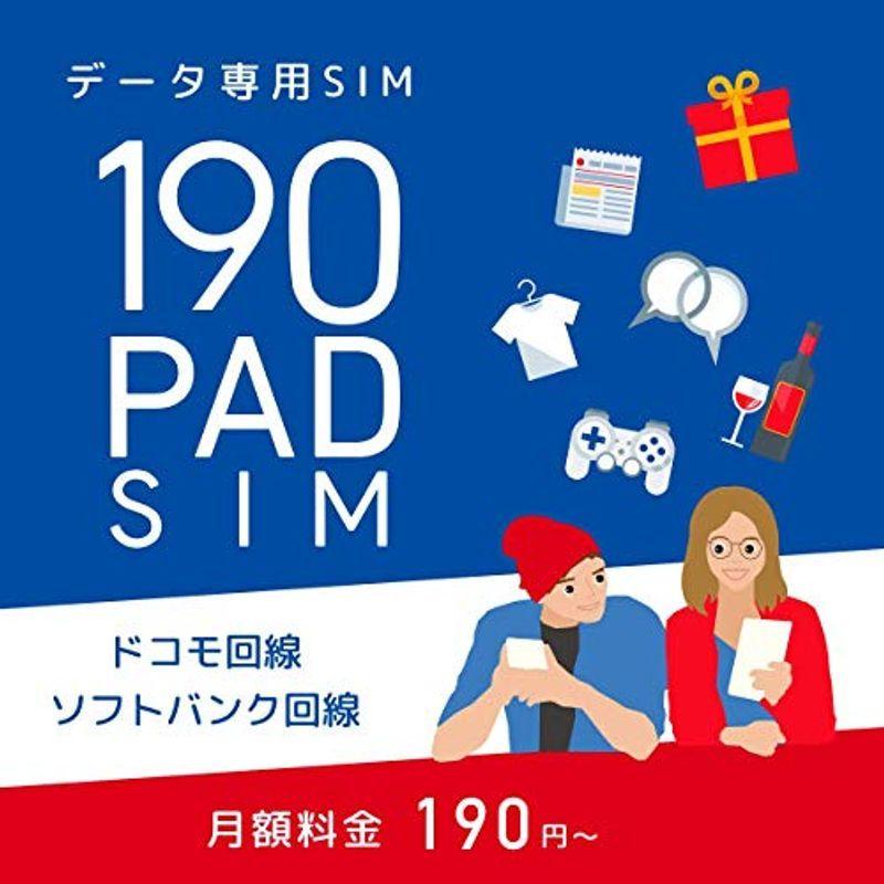 日本通信 b-mobile 予約販売品 国内最安値！ S 申込パッケージ BM-PS2-P 190PadSIM