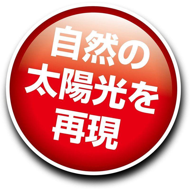 ジェックス エキゾテラ サングロー バスキングスポットランプ 150W 昼用集光型|giga-life|03