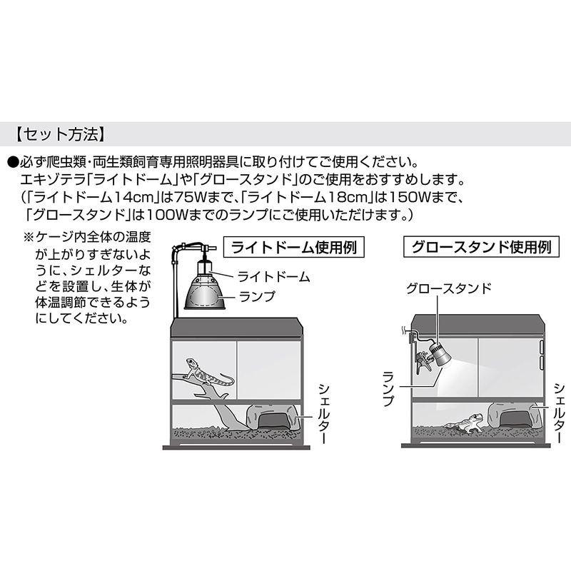 ジェックス エキゾテラ サングロー バスキングスポットランプ 150W 昼用集光型|giga-life|05