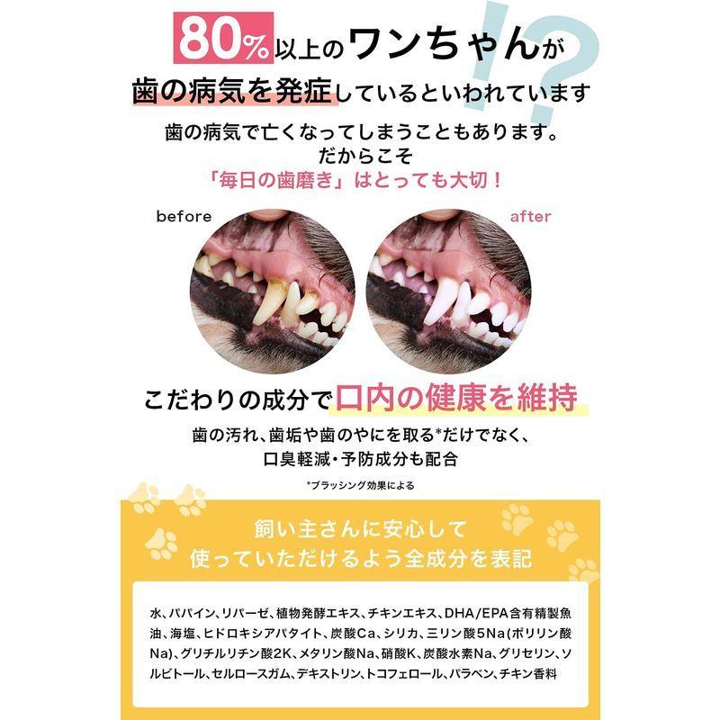 Pali 犬 ペースト 30g 猫 口腔ケア