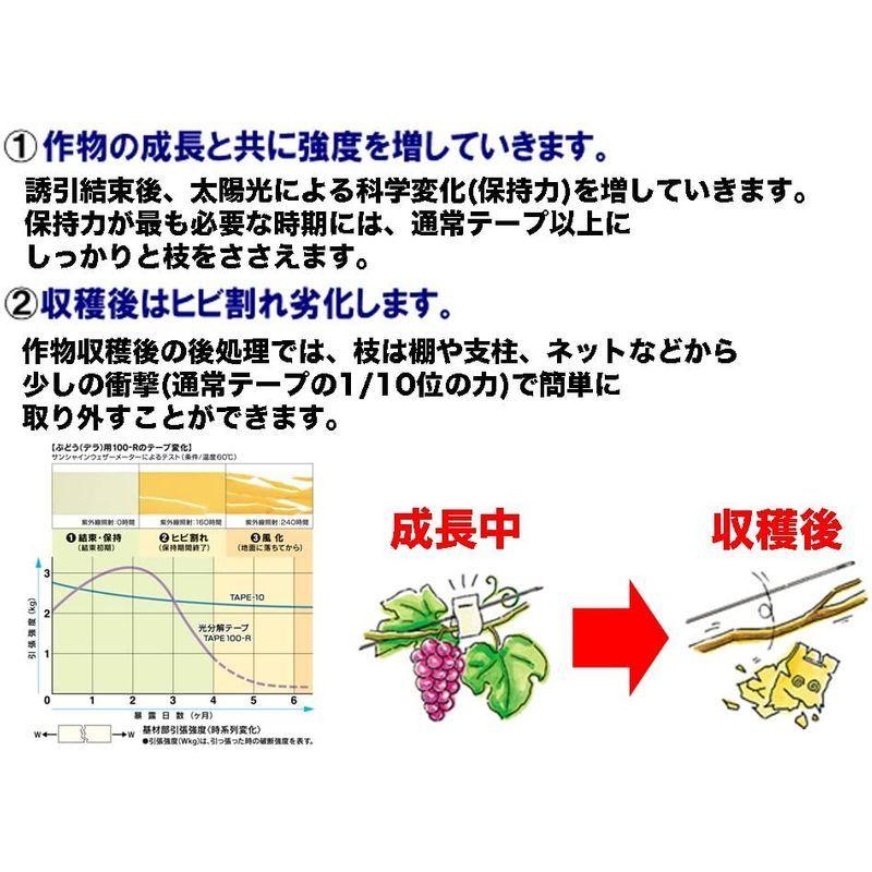 388円 【ギフ_包装】 マックス MAX 誘引資材 マックス光分解テープ 200R 388円 【ギフ_包装】 マックス MAX 誘引資材 マックス光分解テープ 200R