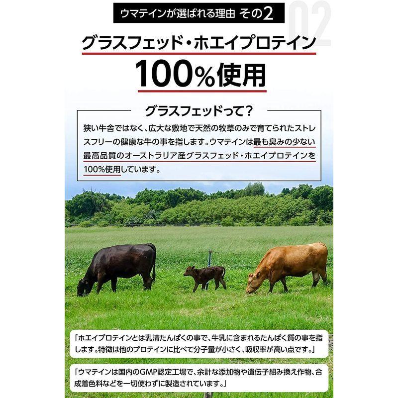 お待たせ ウマテイン プロテイン ホエイプロテイン ストロベリー味 1kg 国産 グラスフェッド １１種類のビタミン配合 Qdtek Vn