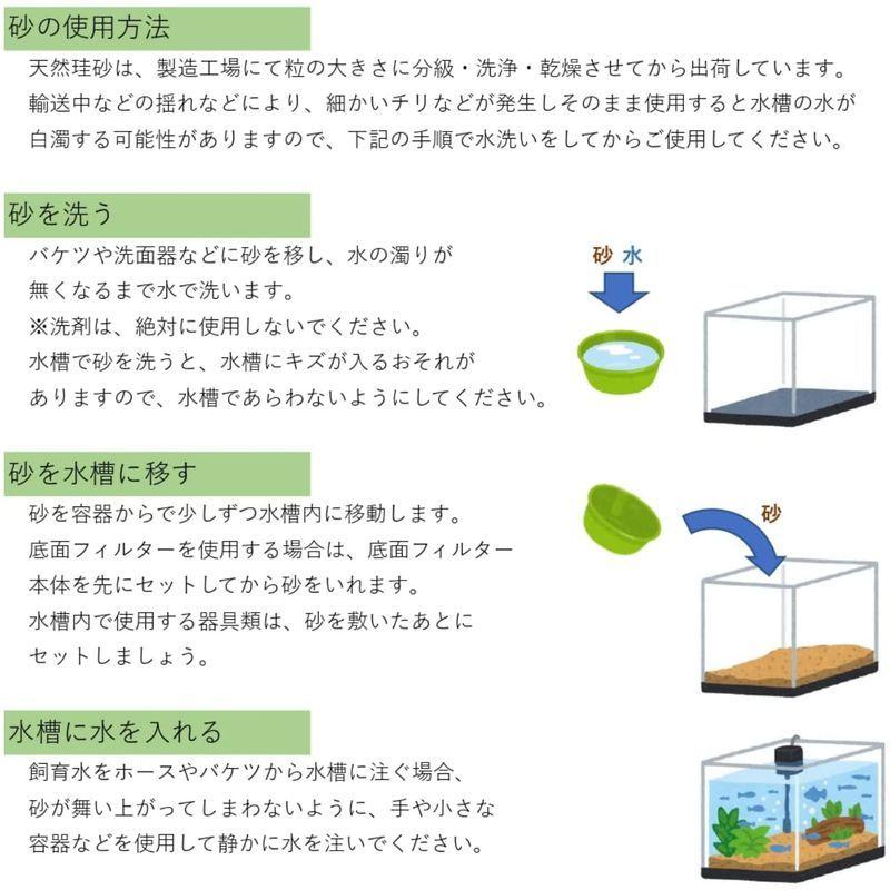 75 以上節約 溶岩石 ろ過ソイル 2キロ 10 mm ブラック 水槽 ソイル 底床 砂利 黒 底敷 底石 下敷き アクアリウム テラリウム メダカ 金魚 淡水 海水 おしゃれ 溶岩 Shipsctc Org