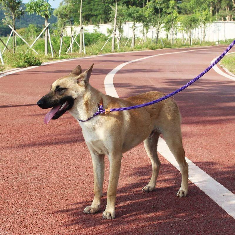 市場 色：パープル サイズ：小型犬スライドリング 犬用リード丈夫な犬縄耐久