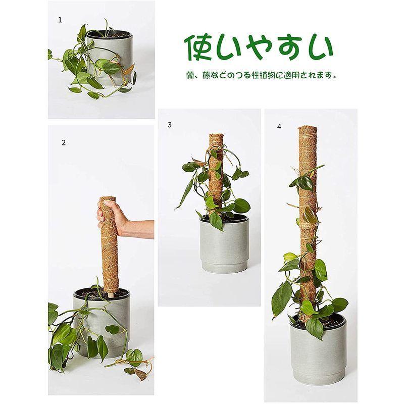 園芸 支柱 植物支柱 ヘゴ支柱 Jaone 植物サポート モンステラ つる性植物 観葉植物 水分 養分維持 2 002 Dream Factory Online 通販 Yahoo ショッピング