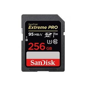 SANDISK(サンディスク)　SDSDXXG-256G-GN4IN [256GB] (英語パッケージ）