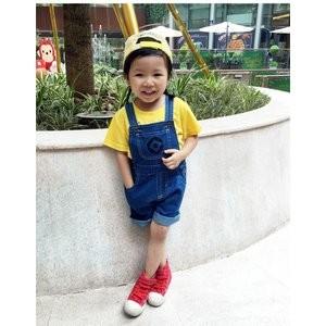 十分です 計算可能 不運 オーバーオール ミニオン Green Redsea Org