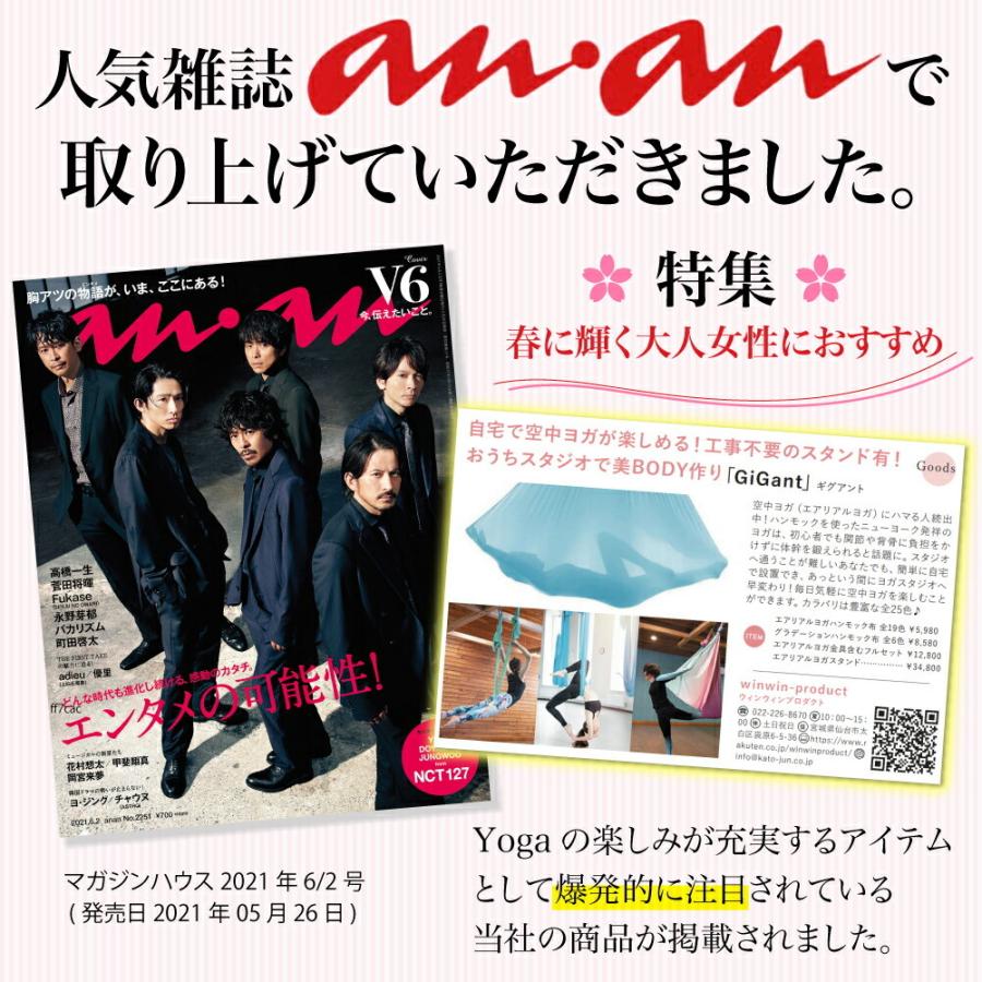エアリアルヨガ 専用ハンモック 3点セットGIGANT 新品未開封品 楽天市場】ギグアント 公式 エアリアルヨガ 専用 ハンモック