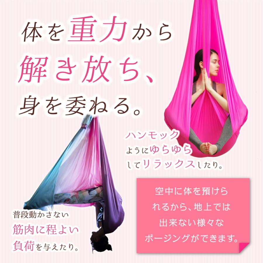 ★エアリアルヨガハンモック　6セット【エアリアルヨガ協会認定】★ Amazon.co.jp: エアリアル ヨガ スイング セット エア