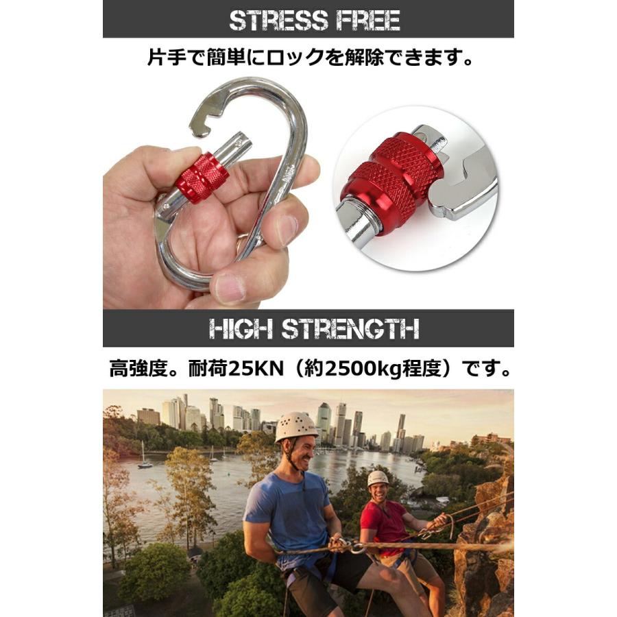 GiGant 公式 カラビナ 25KN スクリューロック 登山 空中ヨガ