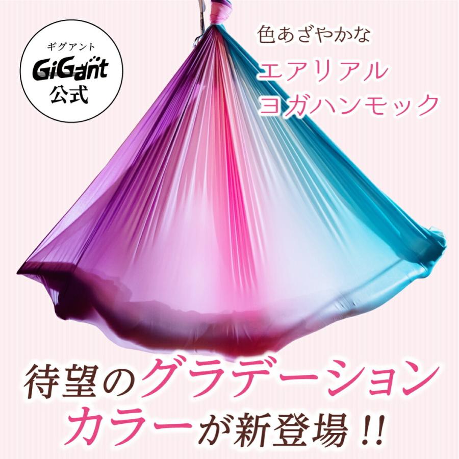 GiGant公式 エアリアルヨガ フルセット グラデーション 空中ヨガ GiGant公式 エアリアルヨガ フルセット グラデーション 空中ヨガ