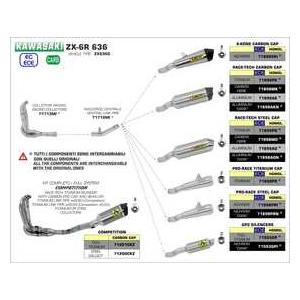 Arrow ZX-6R 636 2019-2022 コレクター 71713MI : GIGASTATION ヤフー
