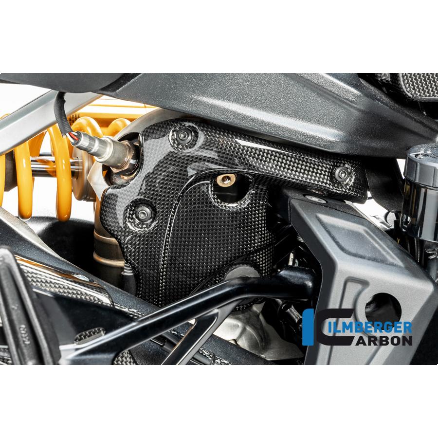 Ilmberger Diavel 1260 19-20 カーボンヘッダーパイプヒートガード（艶あり) AHD.004.DI19G.K