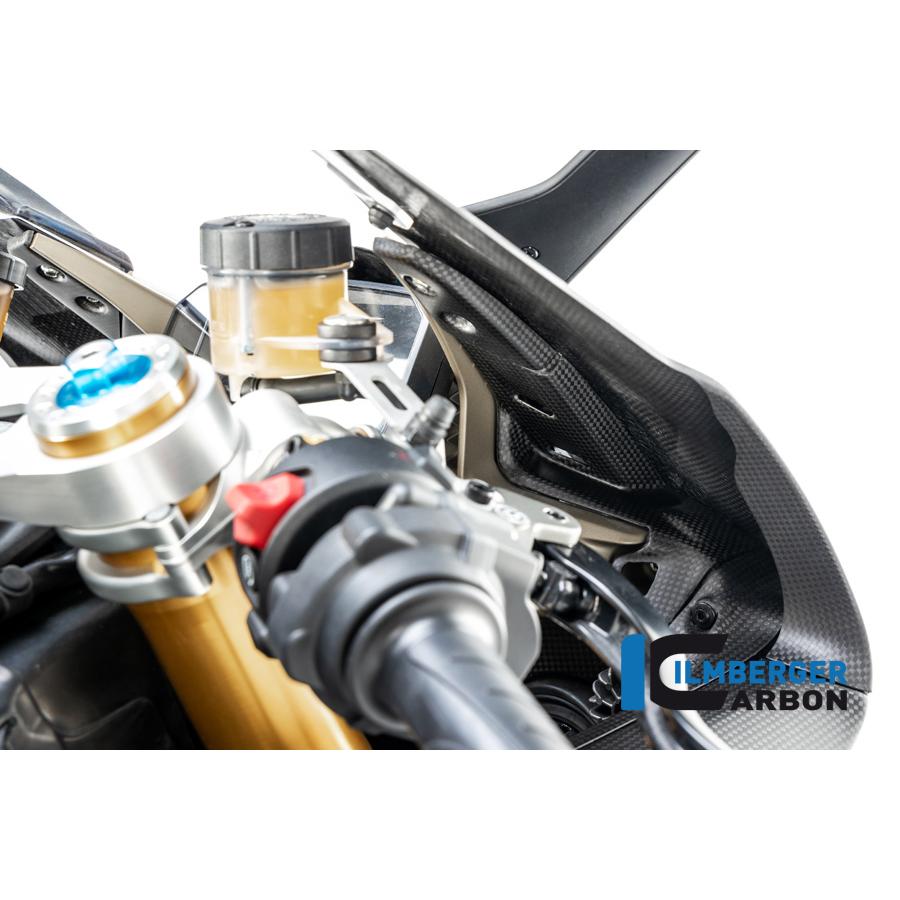 Ilmberger PANIGALE V4S 18-23 インスツルメントカバー(艶なし) IAO.130.DPV4M.K