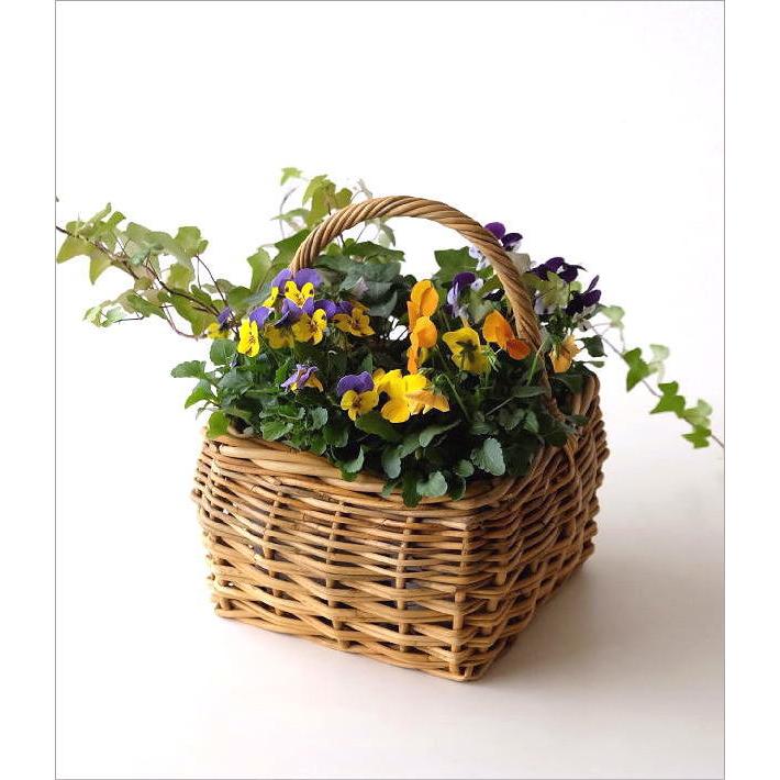 かご カゴ バスケット スクエア おしゃれ ナチュラル オーバル 編み