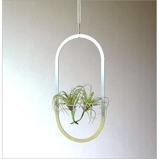 モビール おしゃれ フェイクグリーン ハンギング 吊り下げ 吊るす インテリア 容器 プランター エアプランツ フェイク付きプラントモビール オーバル Gfc79 ギギリビング 通販 Yahoo ショッピング