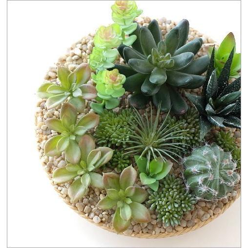 フェイクグリーン Ct触媒 消臭 寄せ植え 観葉植物 サボテン 多肉植物 インテリア 卓上 玄関 キッチン おしゃれ Ct触媒付フェイクカクタスの寄せ植え C Kkm4749 ギギリビング 通販 Yahoo ショッピング