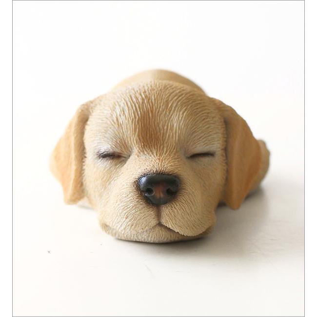 犬 置物 子犬 オブジェ ラブラドールレトリバー すやすや 眠る姿 寝