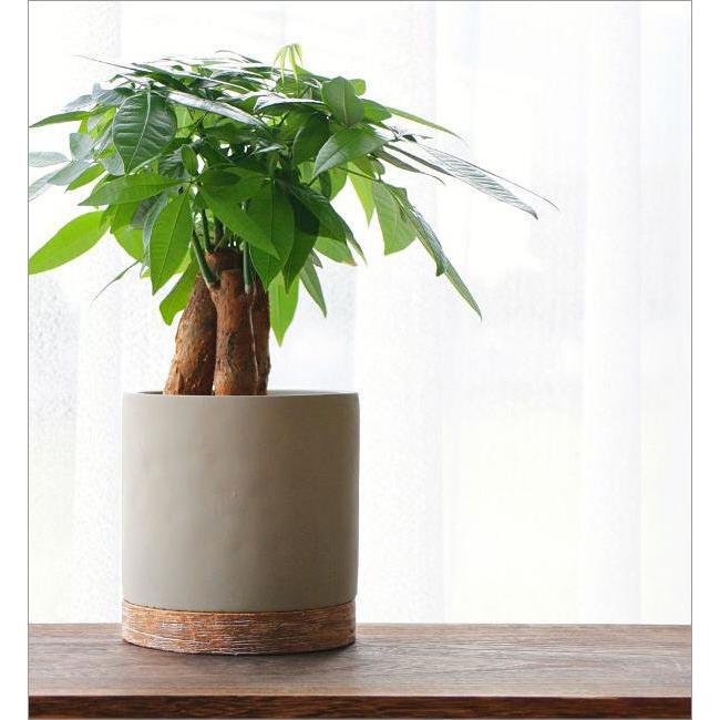 鉢 プランター セメント 丸 おしゃれ 植木鉢 フラワーポット 鉢植え 底