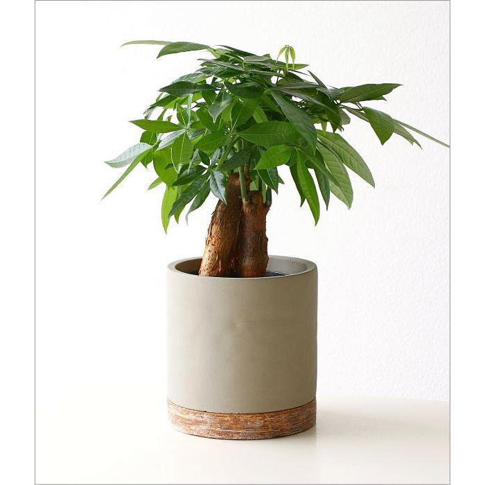 鉢 プランター セメント 丸 おしゃれ 植木鉢 フラワーポット 鉢植え 底