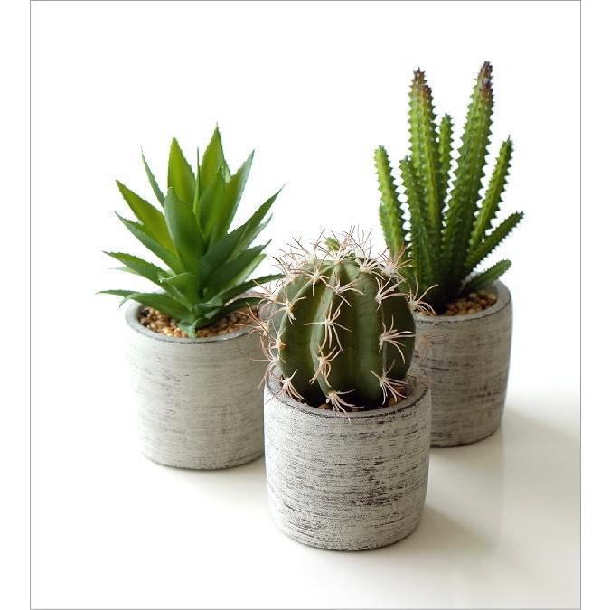 フェイクグリーン ミニ 卓上 おしゃれ 多肉植物 サボテン フェイクグリーンミニポット3タイプ Spc7184 ギギリビング 通販 Yahoo ショッピング