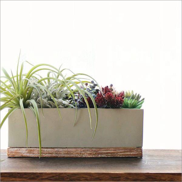 セメント鉢 カインズ セメント鉢 スクエアエッジング M ホワイトアッシュ