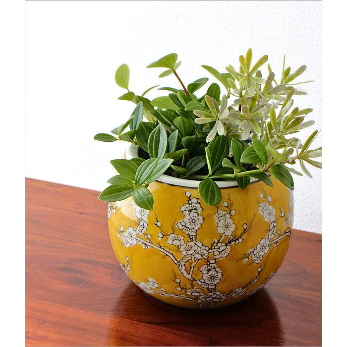 植木鉢 陶器 おしゃれ 和風 丸型 梅柄 火鉢 鉢カバー 穴なし 小型 水鉢