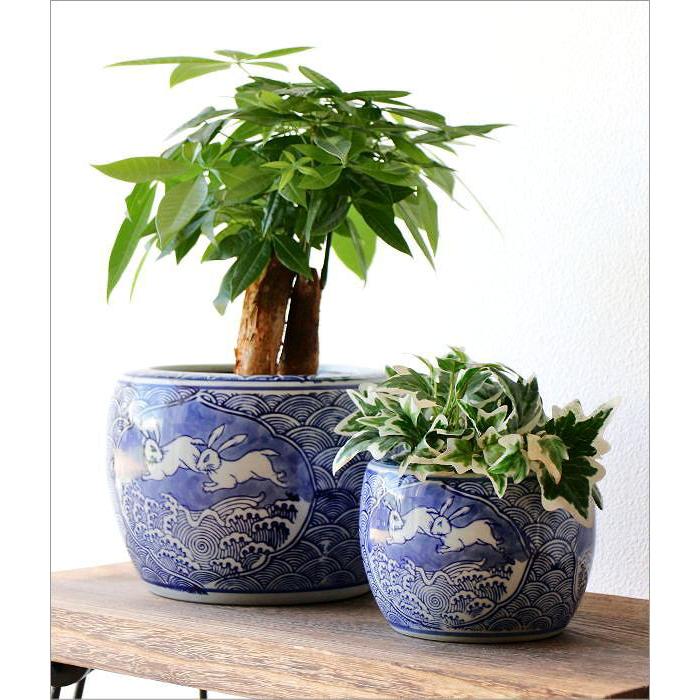 火鉢 うさぎ 陶器鉢 水鉢 陶器 睡蓮鉢 メダカ鉢 植木鉢 おしゃれ 火鉢 うさぎ 陶器鉢 水鉢 陶器 睡蓮鉢 メダカ鉢 植木鉢 おしゃれ