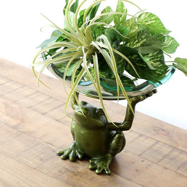 睡蓮鉢 ガラスボウル カエル おしゃれ 波型 金魚鉢 ビオトープ すいれん鉢 観葉植物 ハイドロカルチャー ガラスのウォーターベース 蛙 Swa4025 ギギリビング 通販 Yahoo ショッピング