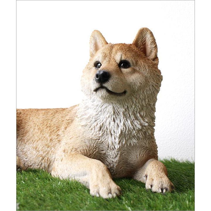 犬 置物 屋外 玄関 リアル 大型 大きい オブジェ イヌ いぬ 置き物