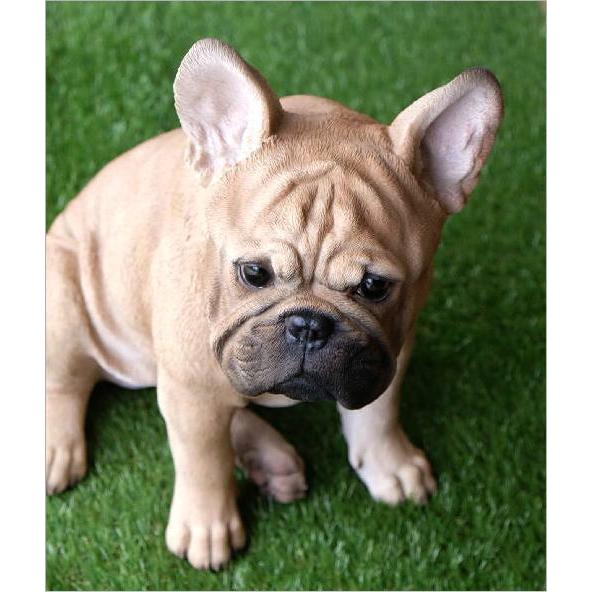 犬 置物 オブジェ アニマル ドッグオーナメント 玄関 エントランス フレンチブル ガーデンオーナメント ドッグオーナメント フレンチブル_2