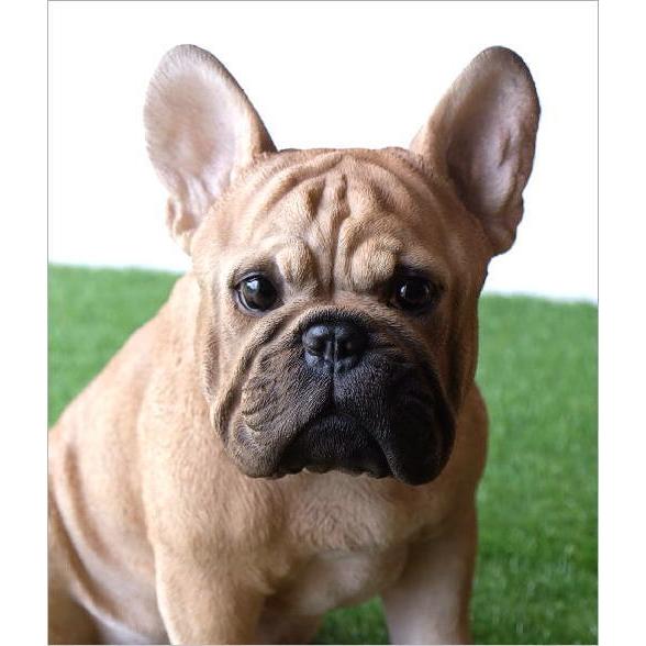 犬 置物 オブジェ アニマル ドッグオーナメント 玄関 エントランス