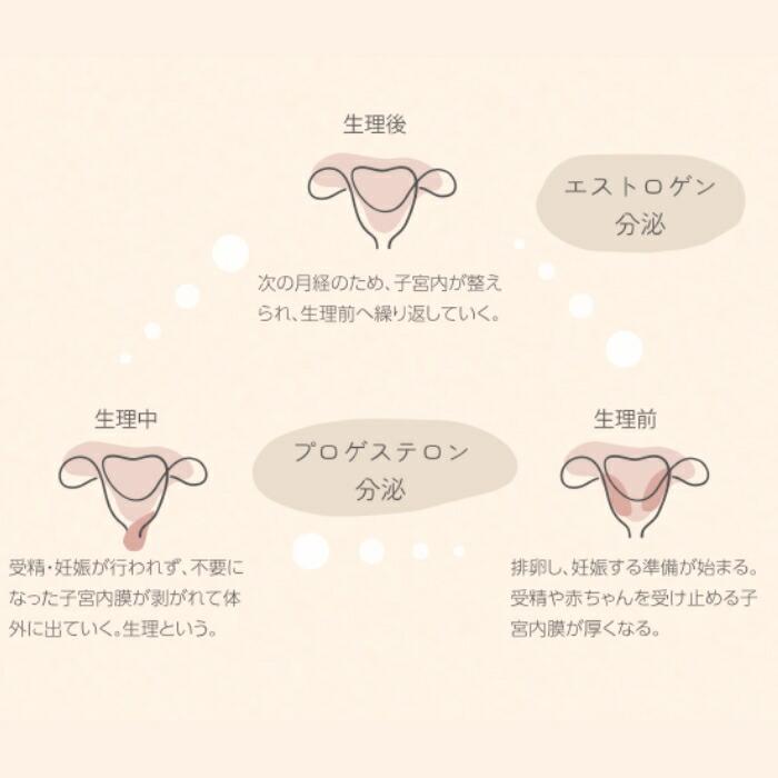 PatchAGE FEM TECH パッチ エイジ FEM DAY フェムデイ FEM NIGHT フェムナイト 生理痛 PMS 月経 貼るサプリ サプリメント 女性の悩み フェムテック フェムケア |  | 05