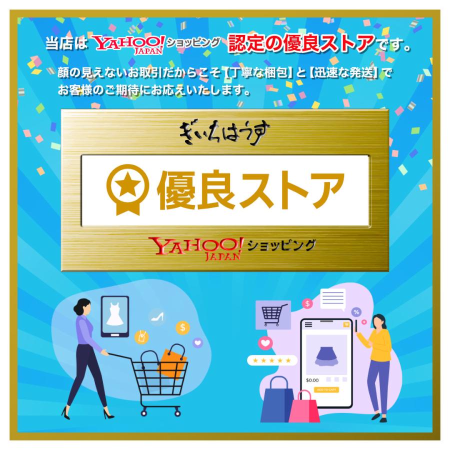 ポケモンカードゲーム トレカ ファイル ケース アルバム ホルダー
