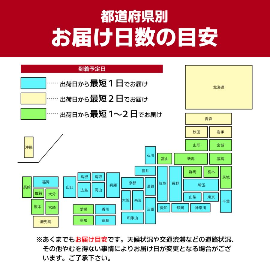 猫背矯正ベルト ブラジャー 補正下着 バストアップブラ 姿勢 矯正 背中の肉 50代 苦しくない 下着｜giichi-house｜19