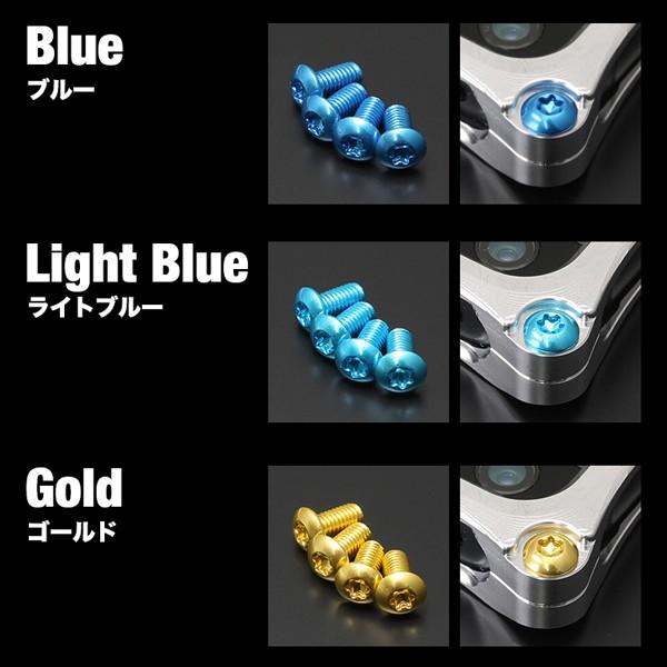 GILD design バンパーフレーム カラーボルトセット付き カラーボルト ギルドデザイン製バンパー専用 トルクスボルト