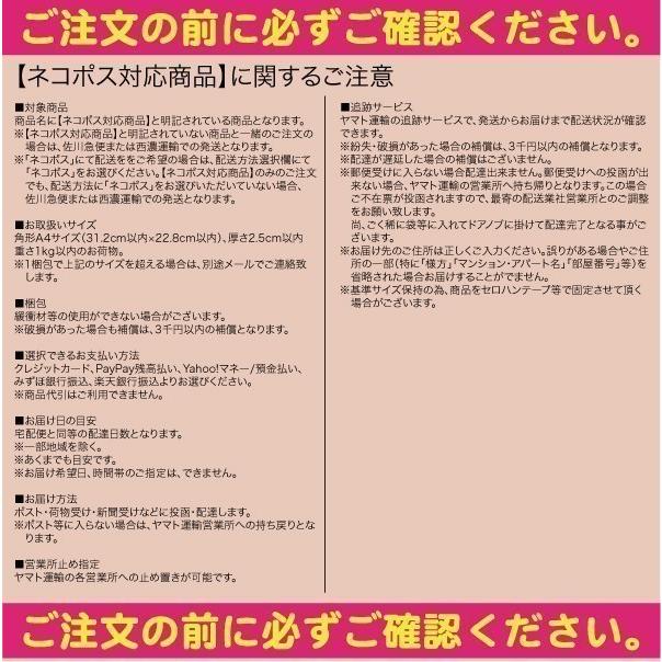 つり人社　シーバスビッグベイトの魔力　ネコポス対応商品｜gill｜03