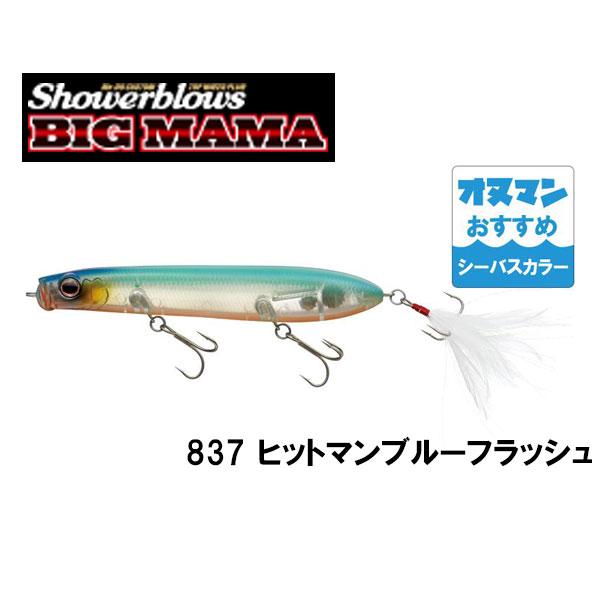 EverGreen（エバーグリーン） シャワーブローズビッグママ・シーバス