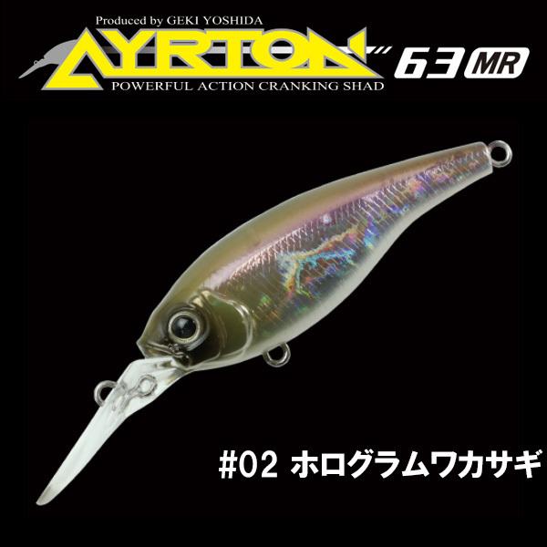 GAN CRAFT（ガンクラフト） アイルトン63MR ネコポス対応商品 : ギル