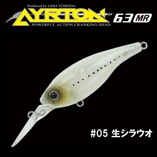 GAN CRAFT（ガンクラフト） アイルトン63MR ネコポス対応商品 : ギル