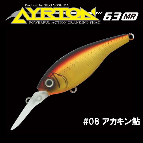GAN CRAFT（ガンクラフト） アイルトン63MR ネコポス対応商品 : ギル