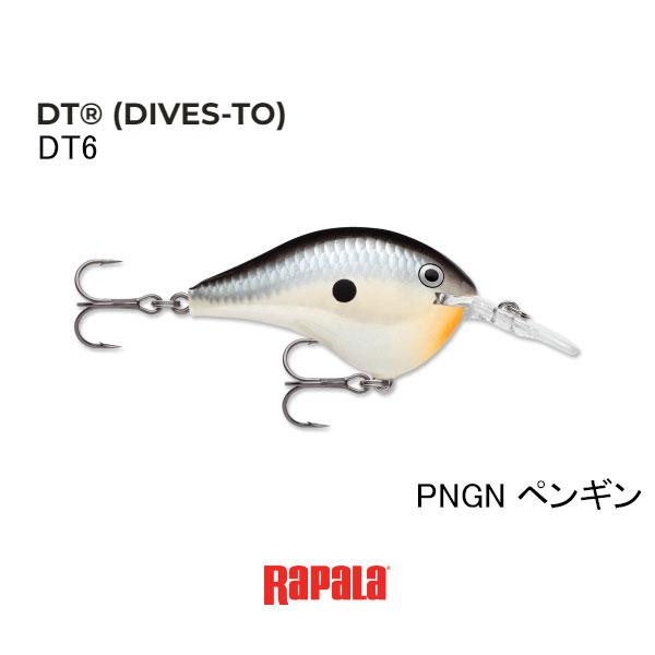 RaPaLa（ラパラ） DT（ダイブストゥ）シリーズ DT-6 ネコポス対応商品