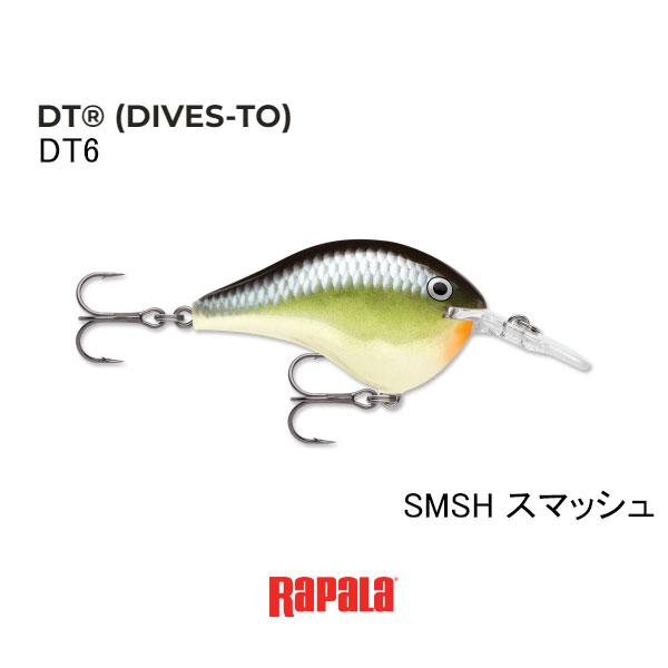 RaPaLa（ラパラ） DT（ダイブストゥ）シリーズ DT-6 ネコポス対応商品