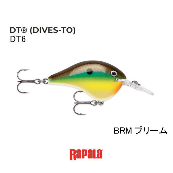 RaPaLa（ラパラ） DT（ダイブストゥ）シリーズ DT-6 ネコポス対応商品