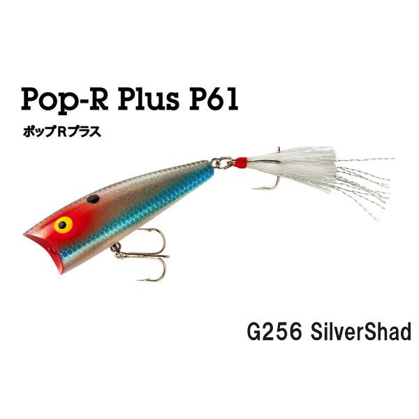 レーベル ポップRプラス P61 ネコポス対応商品 : ギル Yahoo店 - 通販