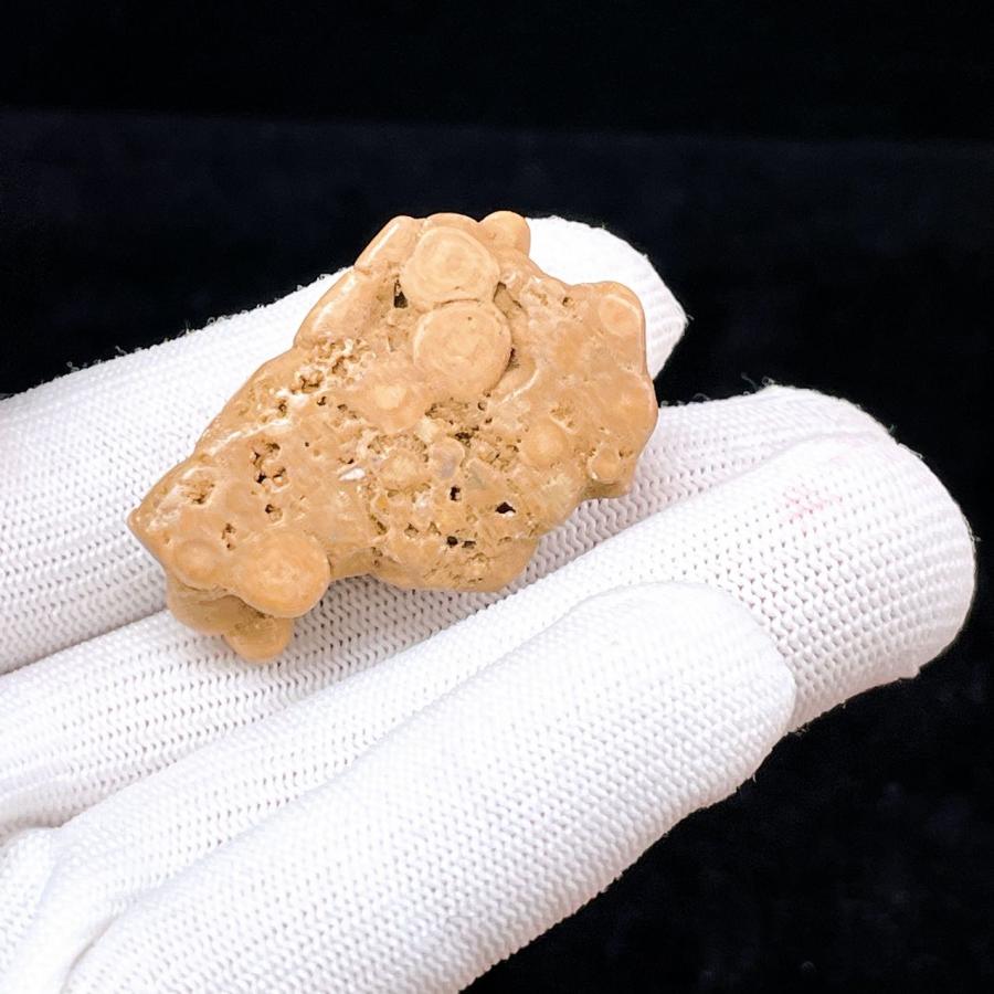 PROME 天然石 一点物・特別仕様品・龍宮舍利・タイ産・（鑑別書付き