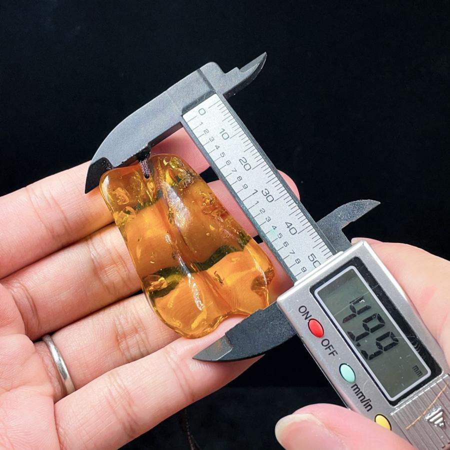 PROME 天然石 一点物 超超超希少！！！ 虫がたくさん 虫入り琥珀