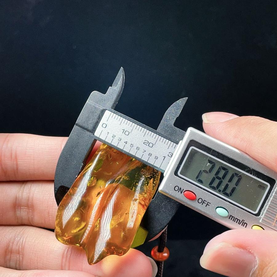 PROME 天然石 一点物 超超超希少！！！ 虫がたくさん 虫入り琥珀