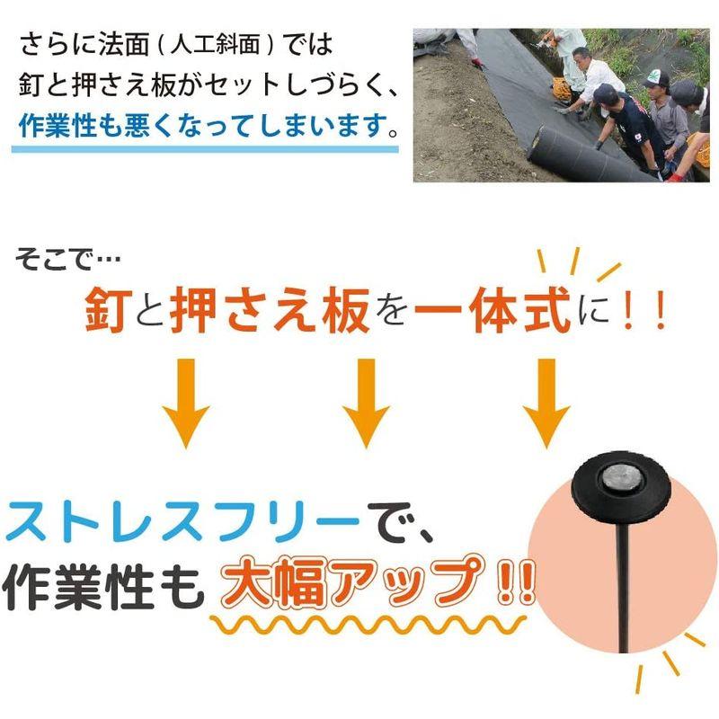 DAIM 防草シート押さえ 楽釘 長さ15cm・20cm 300本入 園芸 防草 雑草対策 防草シート ピン 釘押さえ おさえ ガーデニング 園芸 防草 雑草対策 防草シート ピン 釘押さえ おさえ ガーデニング 防草シート押さえ 楽釘 長さ15cm 20cm 300本入 サイズ 釘と押さえ板 パット すぐに作業に取り掛かれます！